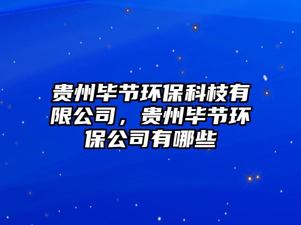 貴州畢節(jié)環(huán)?？浦τ邢薰?，貴州畢節(jié)環(huán)保公司有哪些