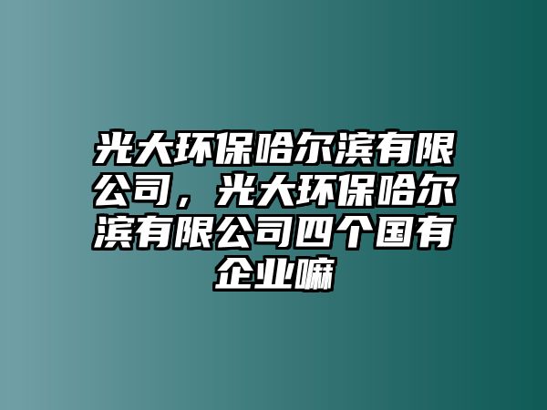 光大環(huán)保哈爾濱有限公司，光大環(huán)保哈爾濱有限公司四個(gè)國(guó)有企業(yè)嘛
