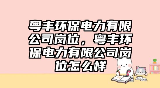 粵豐環(huán)保電力有限公司崗位，粵豐環(huán)保電力有限公司崗位怎么樣