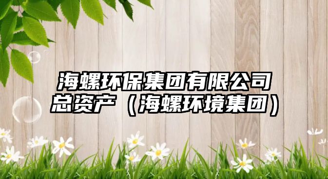 海螺環(huán)保集團有限公司總資產(chǎn)（海螺環(huán)境集團）