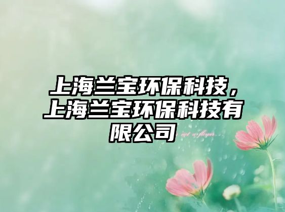 上海蘭寶環(huán)保科技，上海蘭寶環(huán)保科技有限公司