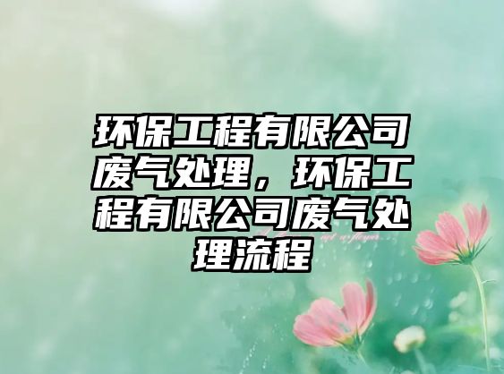 環(huán)保工程有限公司廢氣處理，環(huán)保工程有限公司廢氣處理流程