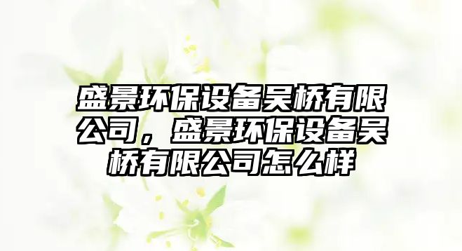盛景環(huán)保設(shè)備吳橋有限公司，盛景環(huán)保設(shè)備吳橋有限公司怎么樣