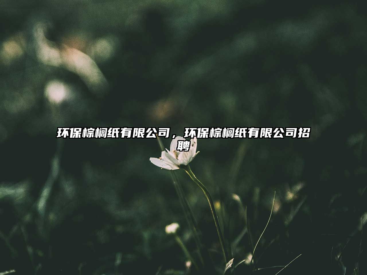 環(huán)保棕櫚紙有限公司，環(huán)保棕櫚紙有限公司招聘