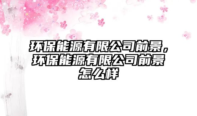 環(huán)保能源有限公司前景，環(huán)保能源有限公司前景怎么樣
