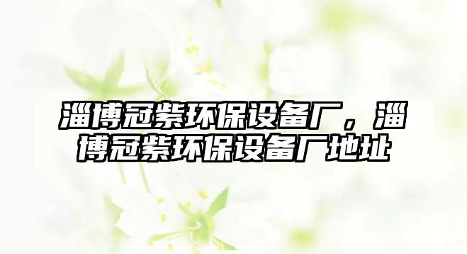 淄博冠紫環(huán)保設備廠，淄博冠紫環(huán)保設備廠地址