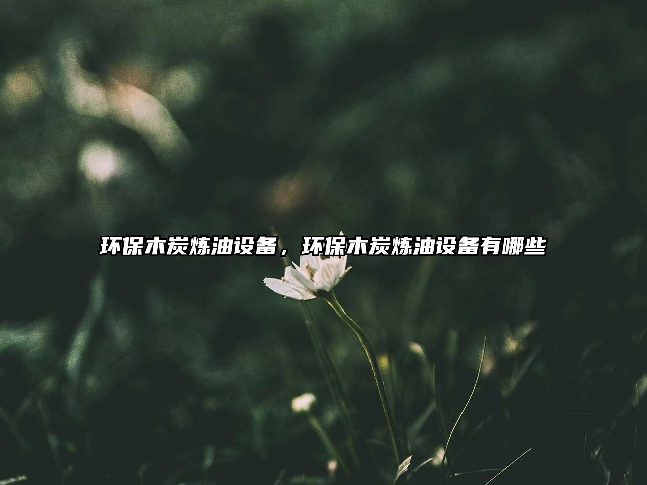 環(huán)保木炭煉油設(shè)備，環(huán)保木炭煉油設(shè)備有哪些