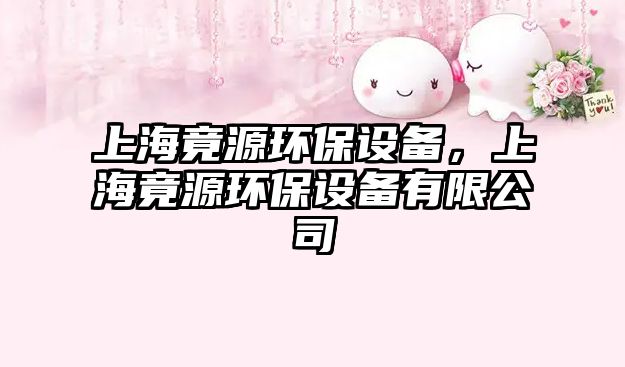 上海竟源環(huán)保設備，上海竟源環(huán)保設備有限公司