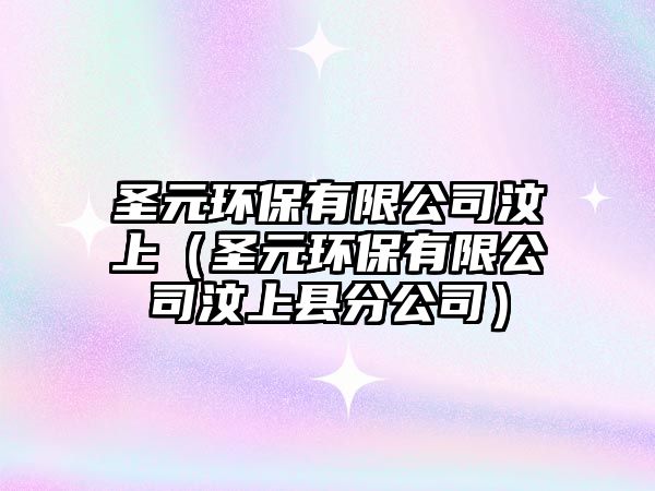 圣元環(huán)保有限公司汶上（圣元環(huán)保有限公司汶上縣分公司）