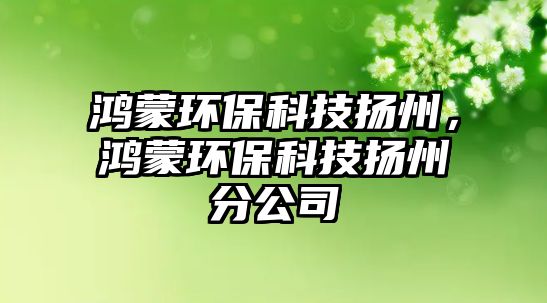 鴻蒙環(huán)保科技揚(yáng)州，鴻蒙環(huán)?？萍紦P(yáng)州分公司