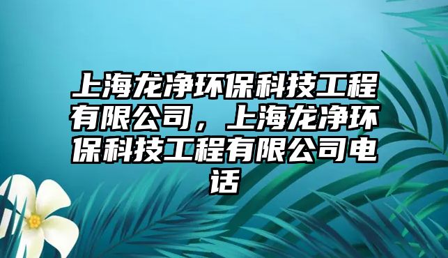 上海龍凈環(huán)?？萍脊こ逃邢薰?，上海龍凈環(huán)?？萍脊こ逃邢薰倦娫? class=