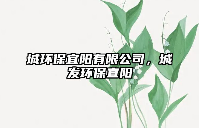 城環(huán)保宜陽有限公司，城發(fā)環(huán)保宜陽