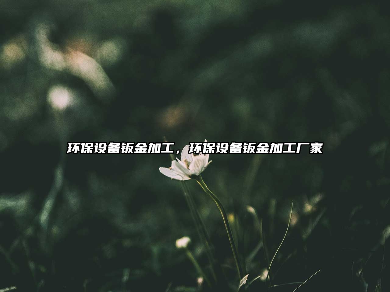 環(huán)保設(shè)備鈑金加工，環(huán)保設(shè)備鈑金加工廠家