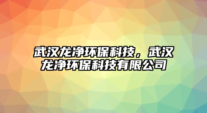 武漢龍凈環(huán)?？萍迹錆h龍凈環(huán)?？萍加邢薰? class=