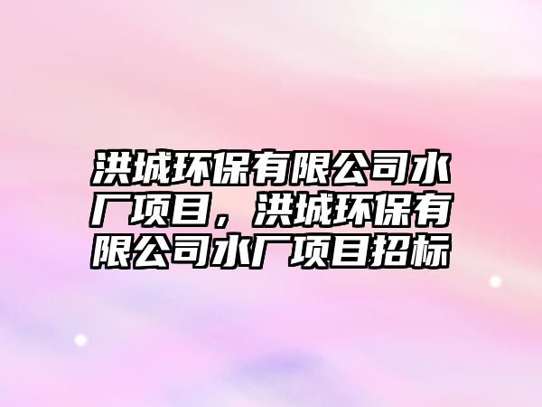 洪城環(huán)保有限公司水廠項目，洪城環(huán)保有限公司水廠項目招標
