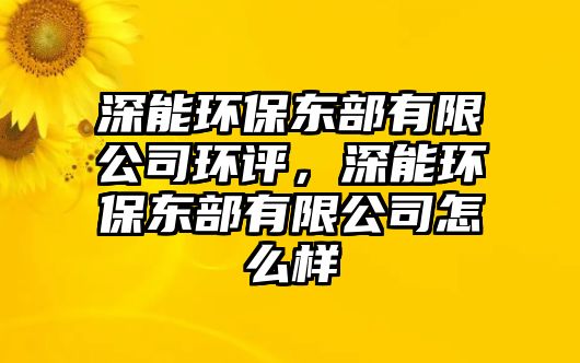 深能環(huán)保東部有限公司環(huán)評，深能環(huán)保東部有限公司怎么樣