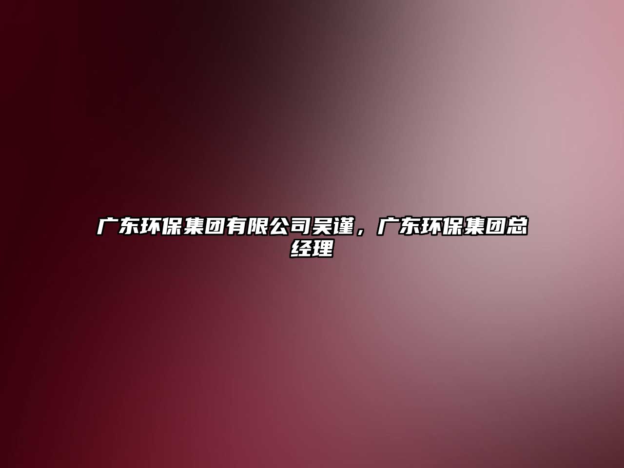 廣東環(huán)保集團(tuán)有限公司吳謹(jǐn)，廣東環(huán)保集團(tuán)總經(jīng)理