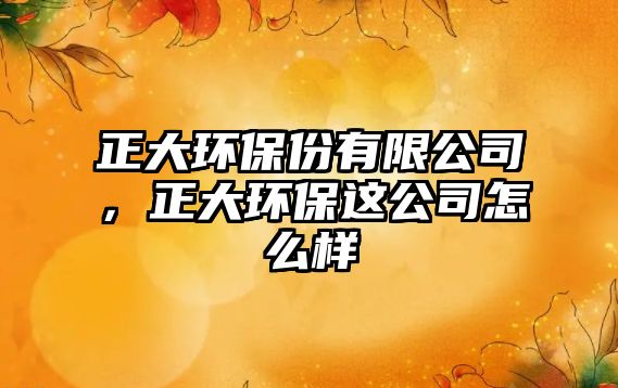 正大環(huán)保份有限公司，正大環(huán)保這公司怎么樣