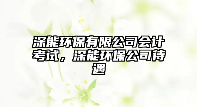 深能環(huán)保有限公司會計考試，深能環(huán)保公司待遇