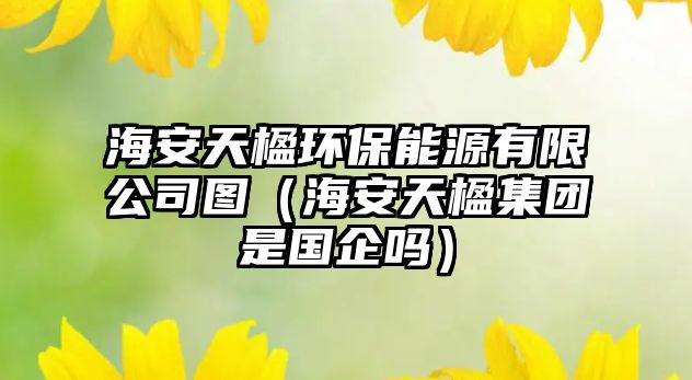海安天楹環(huán)保能源有限公司圖（海安天楹集團(tuán)是國企嗎）