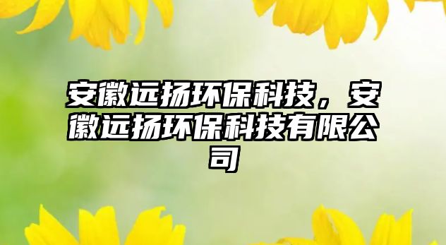 安徽遠(yuǎn)揚(yáng)環(huán)保科技，安徽遠(yuǎn)揚(yáng)環(huán)?？萍加邢薰?/> 
									</a>
									<h4 class=