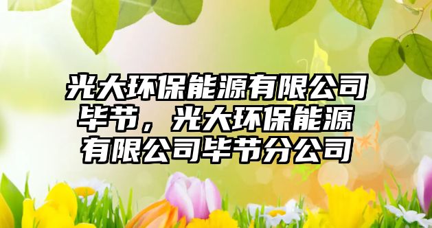 光大環(huán)保能源有限公司畢節(jié)，光大環(huán)保能源有限公司畢節(jié)分公司