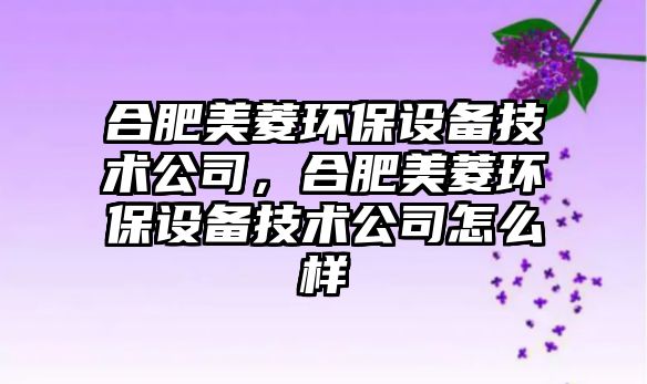 合肥美菱環(huán)保設(shè)備技術(shù)公司，合肥美菱環(huán)保設(shè)備技術(shù)公司怎么樣
