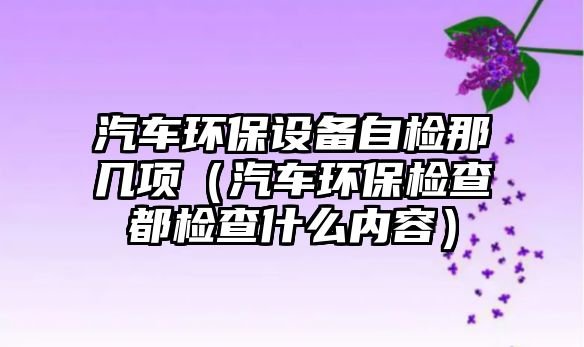 汽車(chē)環(huán)保設(shè)備自檢那幾項(xiàng)（汽車(chē)環(huán)保檢查都檢查什么內(nèi)容）