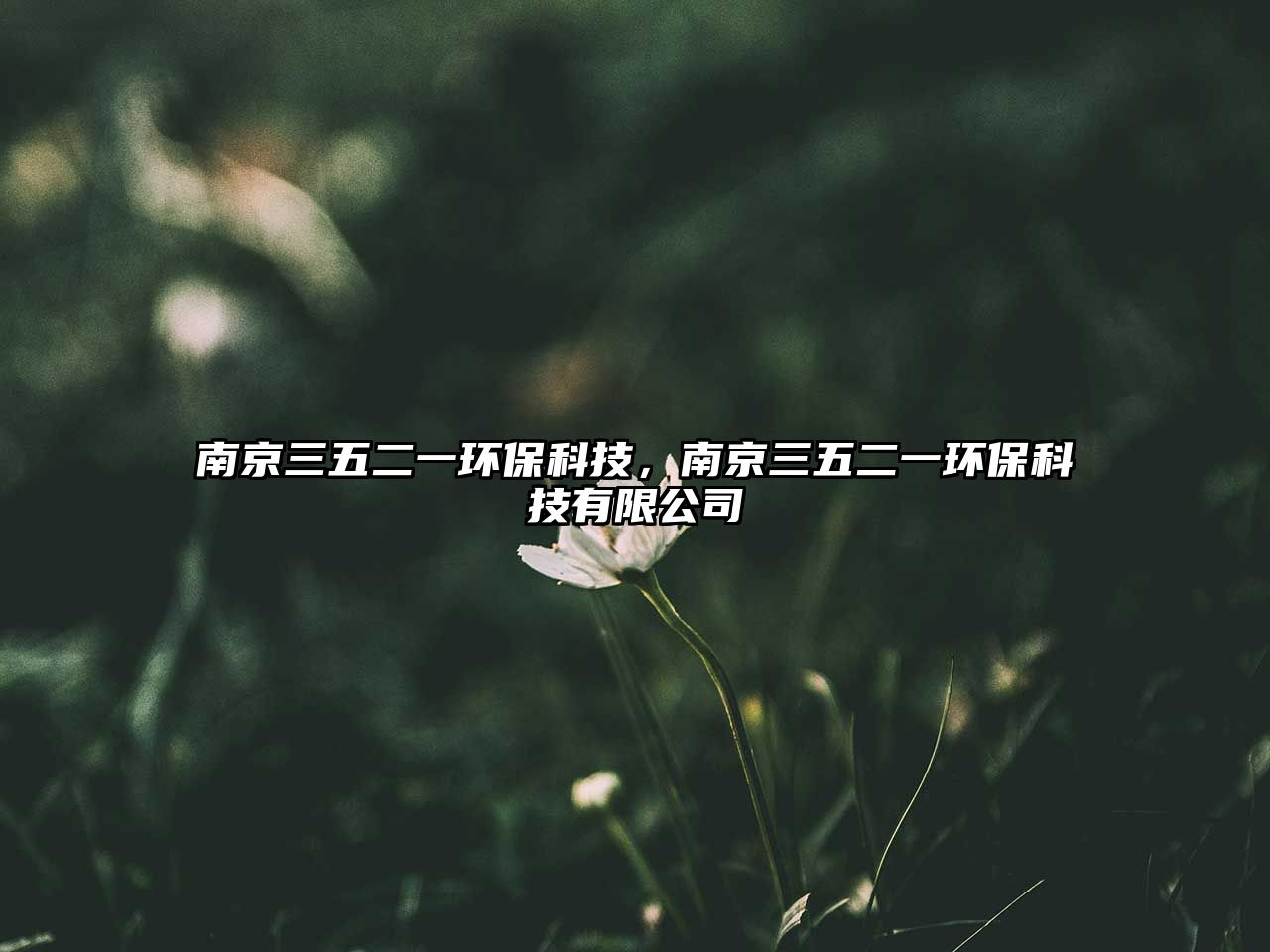 南京三五二一環(huán)?？萍?，南京三五二一環(huán)?？萍加邢薰?/> 
									</a>
									<h4 class=