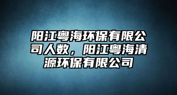 陽(yáng)江粵海環(huán)保有限公司人數(shù)，陽(yáng)江粵海清源環(huán)保有限公司