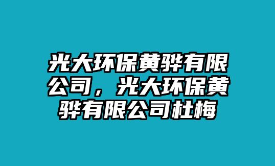 光大環(huán)保黃驊有限公司，光大環(huán)保黃驊有限公司杜梅