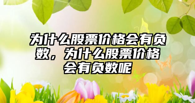 為什么股票價(jià)格會(huì)有負(fù)數(shù)，為什么股票價(jià)格會(huì)有負(fù)數(shù)呢