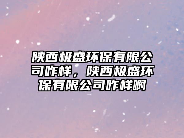 陜西極盛環(huán)保有限公司咋樣，陜西極盛環(huán)保有限公司咋樣啊