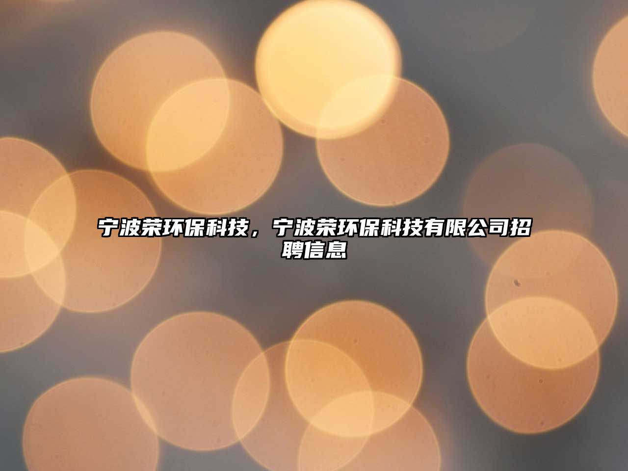 寧波榮環(huán)?？萍迹瑢幉s環(huán)?？萍加邢薰菊衅感畔? class=
