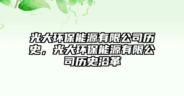 光大環(huán)保能源有限公司歷史，光大環(huán)保能源有限公司歷史沿革