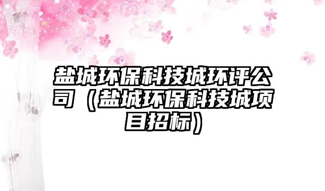 鹽城環(huán)?？萍汲黔h(huán)評(píng)公司（鹽城環(huán)?？萍汲琼?xiàng)目招標(biāo)）