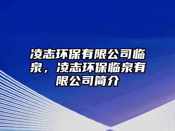 凌志環(huán)保有限公司臨泉，凌志環(huán)保臨泉有限公司簡介