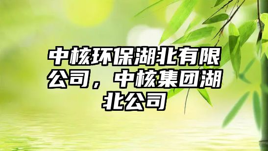中核環(huán)保湖北有限公司，中核集團(tuán)湖北公司