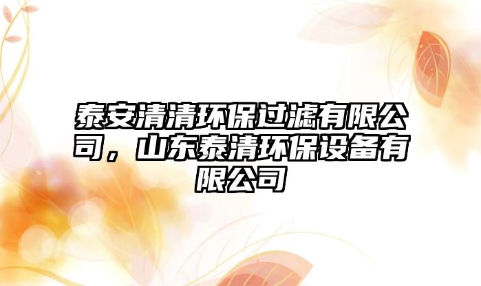 泰安清清環(huán)保過濾有限公司，山東泰清環(huán)保設(shè)備有限公司