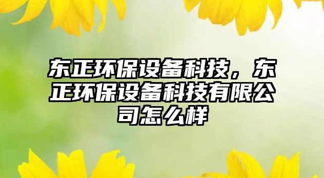 東正環(huán)保設(shè)備科技，東正環(huán)保設(shè)備科技有限公司怎么樣