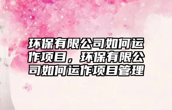 環(huán)保有限公司如何運作項目，環(huán)保有限公司如何運作項目管理