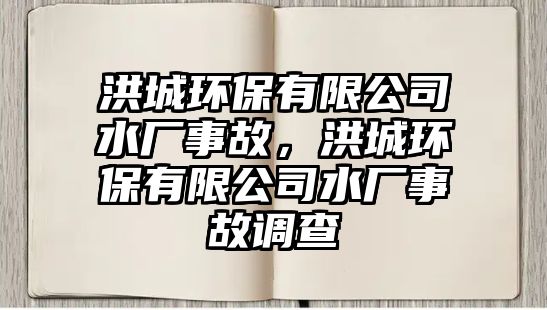 洪城環(huán)保有限公司水廠事故，洪城環(huán)保有限公司水廠事故調(diào)查