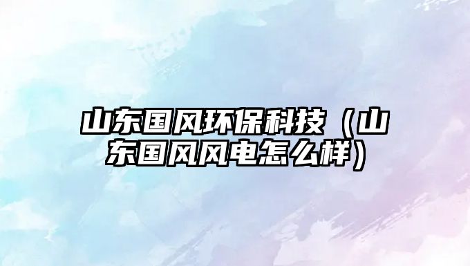 山東國風環(huán)?？萍迹ㄉ綎|國風風電怎么樣）