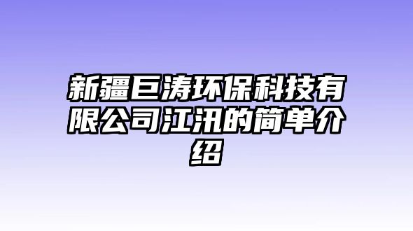 新疆巨濤環(huán)?？萍加邢薰窘吹暮唵谓榻B