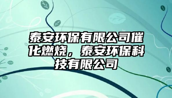 泰安環(huán)保有限公司催化燃燒，泰安環(huán)保科技有限公司