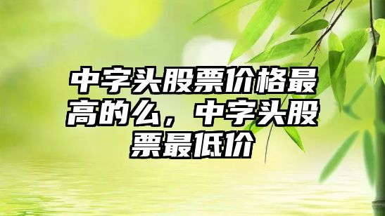 中字頭股票價格最高的么，中字頭股票最低價