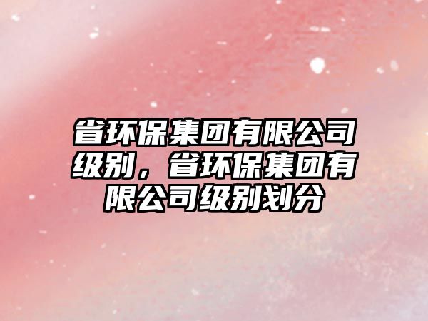 省環(huán)保集團(tuán)有限公司級別，省環(huán)保集團(tuán)有限公司級別劃分