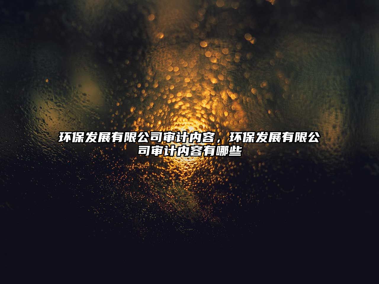 環(huán)保發(fā)展有限公司審計內(nèi)容，環(huán)保發(fā)展有限公司審計內(nèi)容有哪些