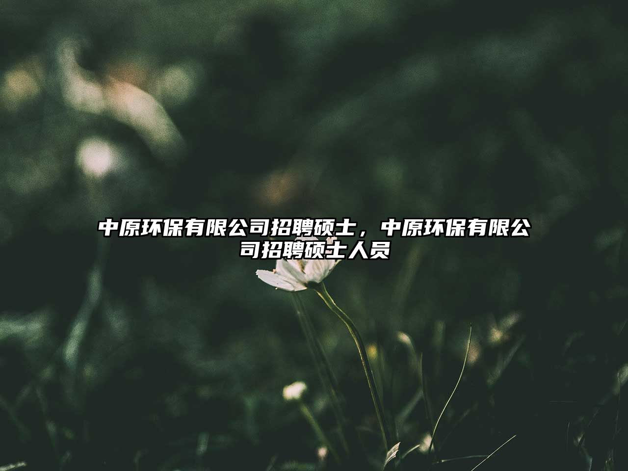 中原環(huán)保有限公司招聘碩士，中原環(huán)保有限公司招聘碩士人員