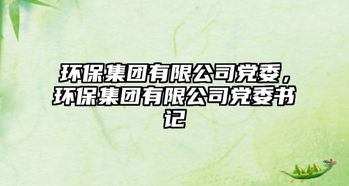 環(huán)保集團(tuán)有限公司黨委，環(huán)保集團(tuán)有限公司黨委書記